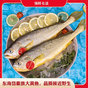 南苑舟山深海大黄鱼海鲜年货礼盒浙江宁波特产过年送礼