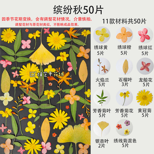 压花干花手工diy植物材料包书签贴画相框装饰礼物缤纷秋50片花+叶