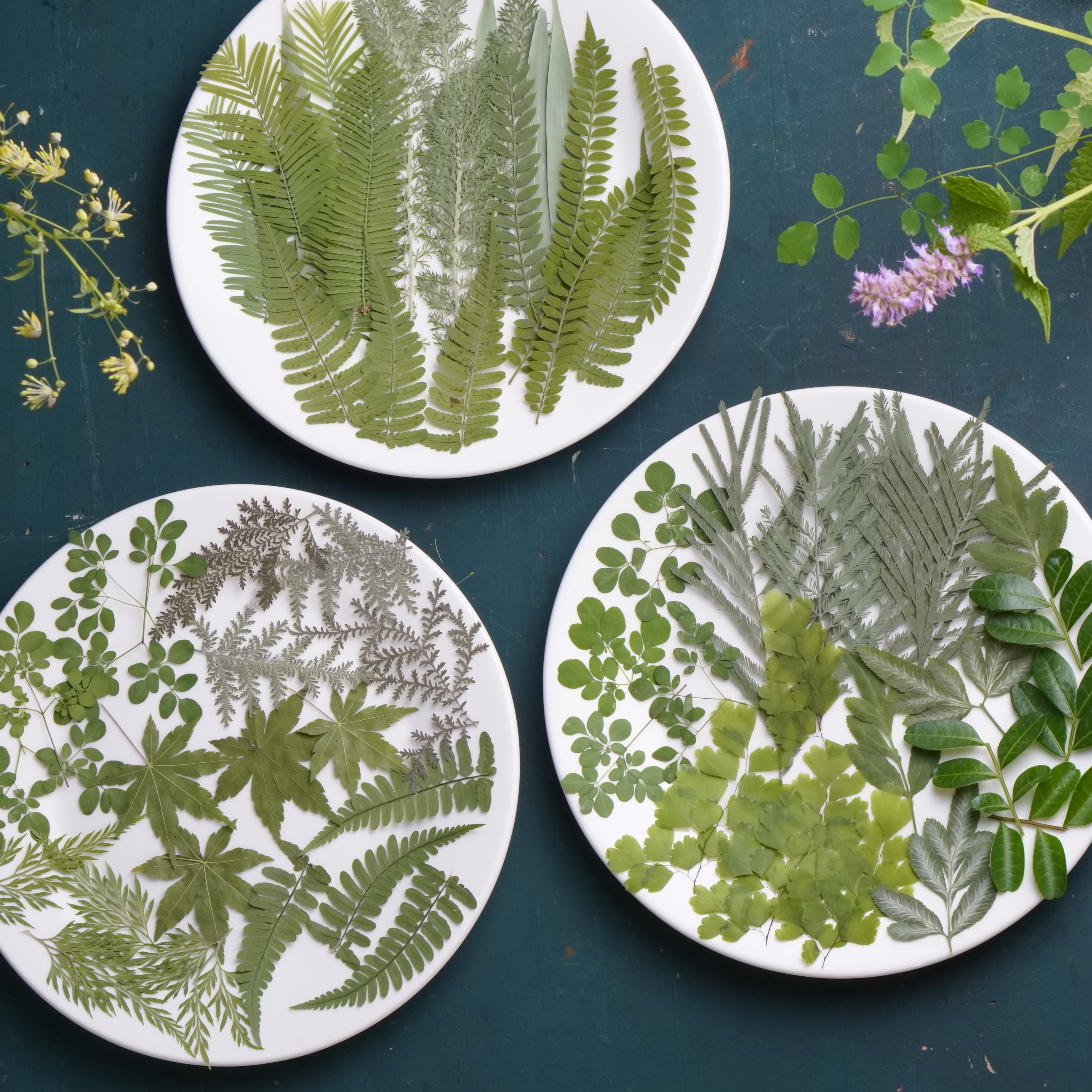 森系ins风押花压花diy植物标本