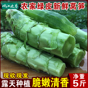 四川青皮绿心莴笋新鲜时令蔬菜产地直销农家自种青笋现摘食用莴苣