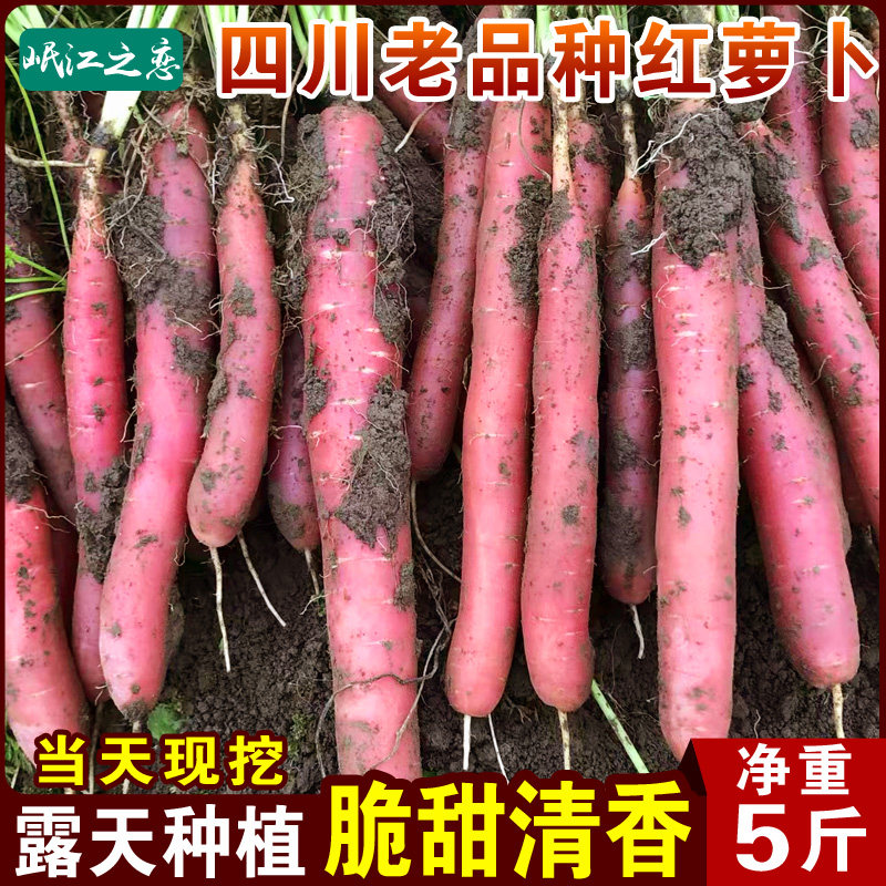 四川老品种红萝卜新鲜蔬菜农家细心带泥生吃水果胡萝卜甜脆水果型,水产肉类/新鲜蔬果/熟食,萝卜/胡萝卜,淘宝优惠券,粉丝福利购,淘宝优惠卷