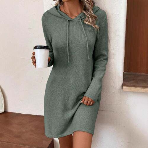Hooded Long Sleeve Casual Loose Fit Knit Dress Fall Winter