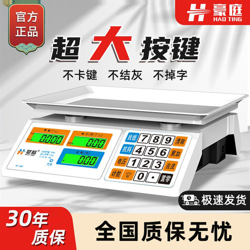 小型家用精准卖菜公斤称电子秤