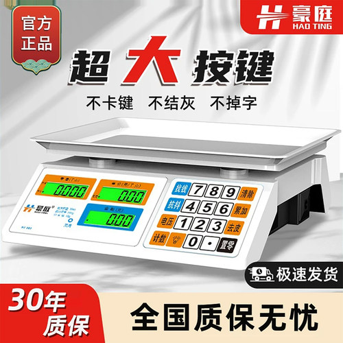 小型家用精准卖菜公斤称电子秤