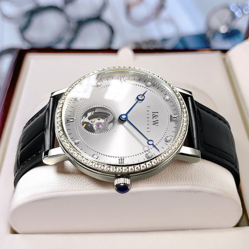 iw爱沃驰进口机芯镂空男士机械表