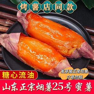 尘乡居-山东烟薯五斤装（发圆通）