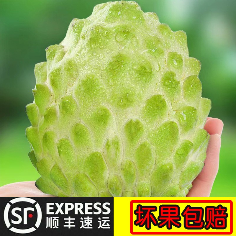 顺丰+礼盒新鲜凤梨释迦水果当季番荔枝牛奶释迦佛头果2/3/5斤