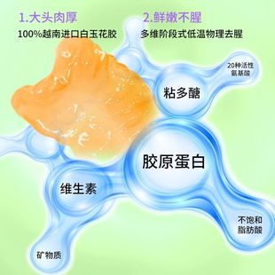 即食花胶】乾锦堂正品杨枝甘露花胶粥养生速食代餐早餐粥即食鱼胶