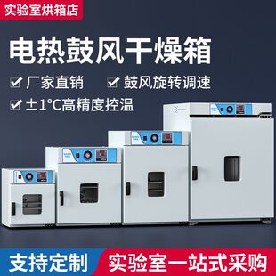 干燥箱恒温鼓风双开门烘干箱养猪场消毒专用前后开门对开门烘箱