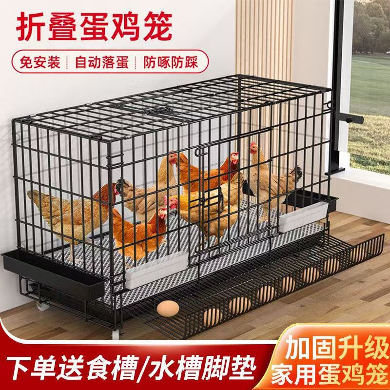 鸡笼子大号养鸡笼子家用室内滚蛋鸡笼自动清粪出蛋母鸡笼鸭笼鹅笼