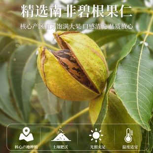 老街口 奶油味碧根果仁158g大颗粒坚果炒货干果山核桃仁2025新货