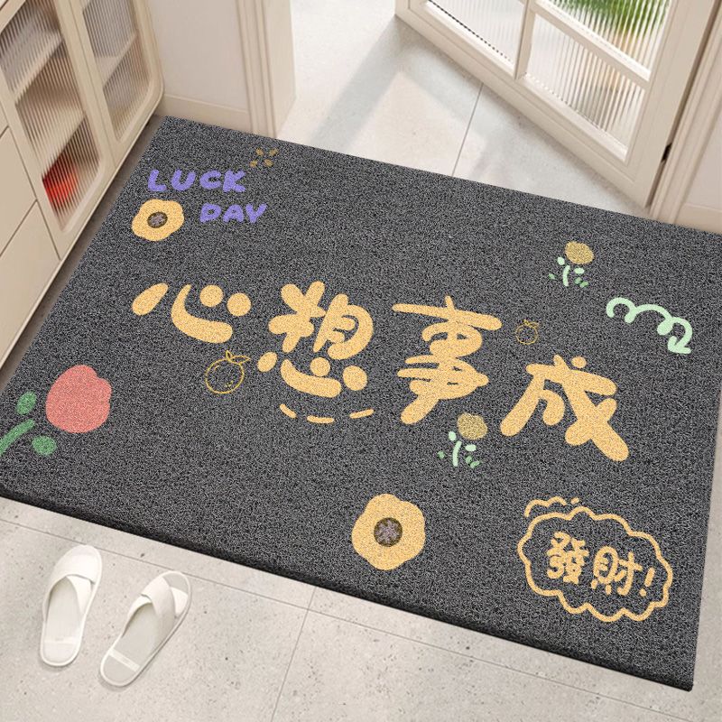 丝圈地垫门口地垫进门防滑除尘脚垫地垫商用美容院门口蹭脚水冲洗