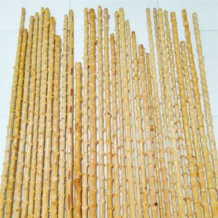 对节木疙瘩木棍武术棍陀螺鞭杆刺棍登山手杖老人拐杖长檬子木降龙