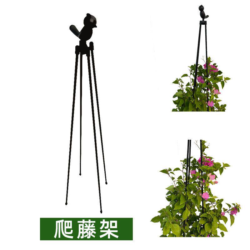花架爬藤架铁线莲植物支撑杆风车茉莉月季山乌龟三角梅攀爬支架