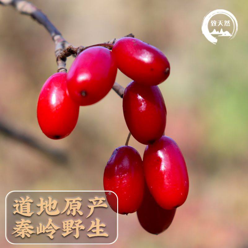 野生山茱萸新货山茱萸秦岭原产地野山茱萸茱萸肉山茱萸,传统滋补营养品,山茱萸,淘宝优惠券,粉丝福利购,淘宝优惠卷