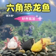 六角恐龙鱼冷水鱼蝾螈鱼缸水族宠物活体淡水好养易活观赏网红鱼陆