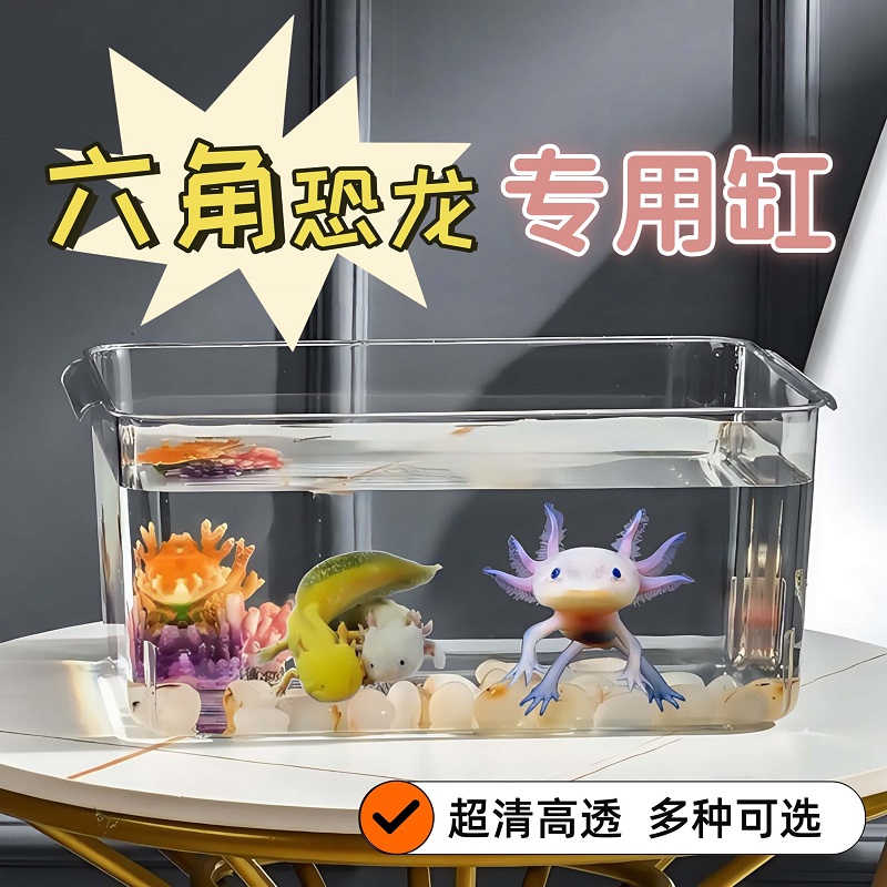 六角恐龙专用鱼缸饲养箱多用途