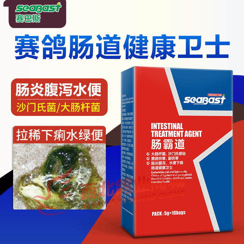 德国赛巴斯鸽药肠霸道信赛鸽沙门氏大肠杆菌肠炎水绿便伤寒鸽子药