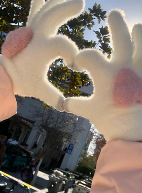 手套冬季女可爱触屏简约韩版isn毛绒防寒保暖羊绒骑车五指耐磨