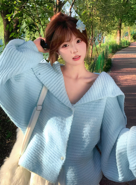 蓝色海军领加厚开衫毛衣女秋冬季法式chic慵懒风宽松针织外套上衣