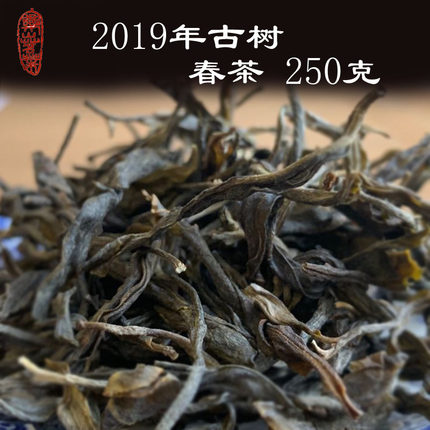 无量山古树茶春茶乙级2019生茶散茶云南普洱茶叶250g郑山茗叶勐海