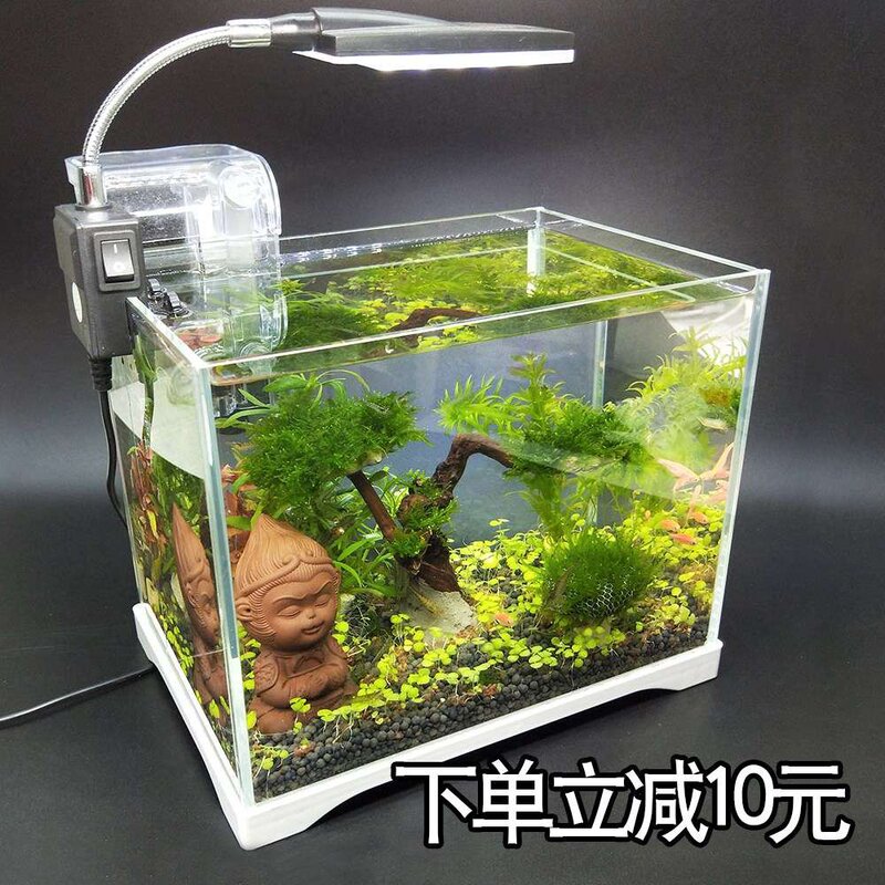 草缸造景套餐成品真水草小型素材模板 草缸造景套餐成品真水草小型图片下载 小麦优选