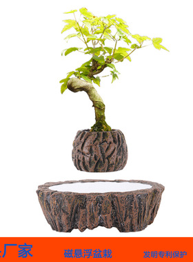 磁悬浮盆栽家居装饰品创意摆件开业礼物微型植物盆景花盆工厂直销