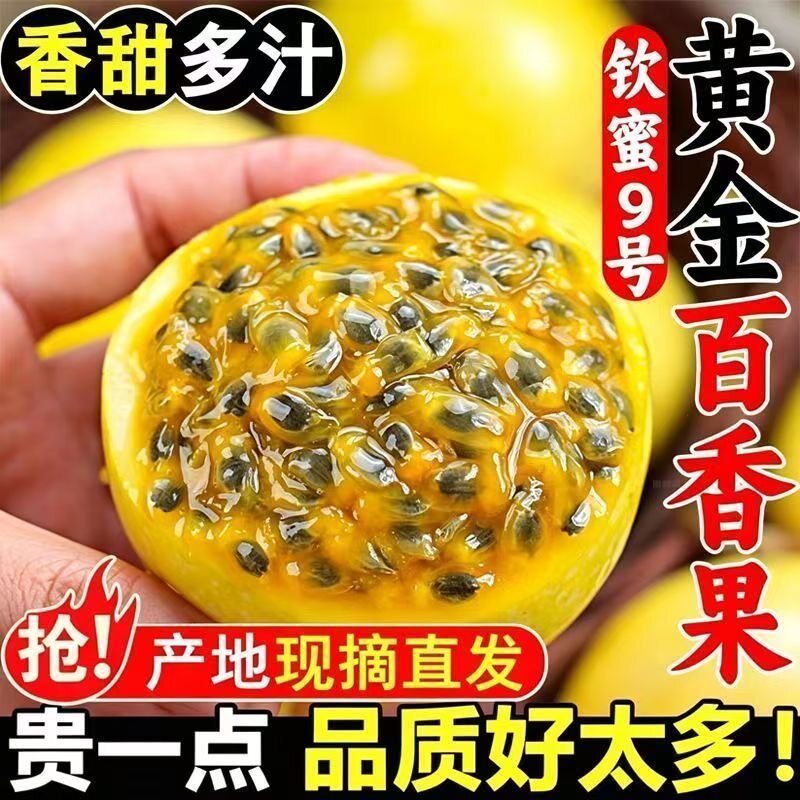 广西钦蜜9号黄金百香果现摘大果