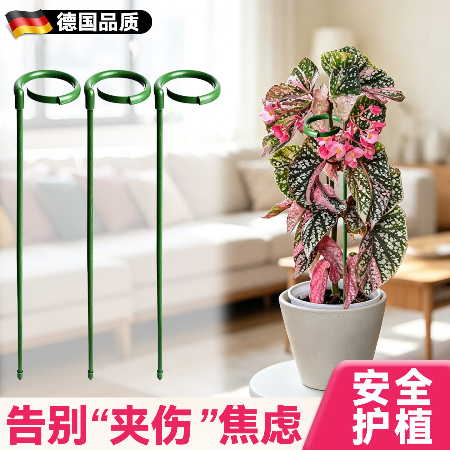 秋海棠支撑杆花卉支撑架花架图片