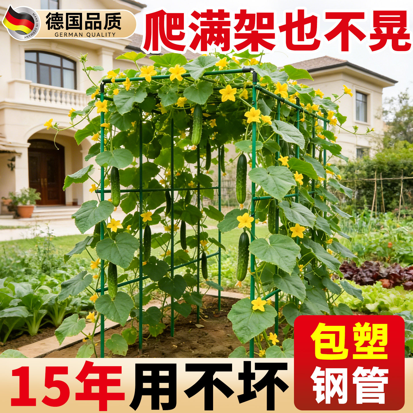 园艺蔬菜葡萄爬藤支架图片