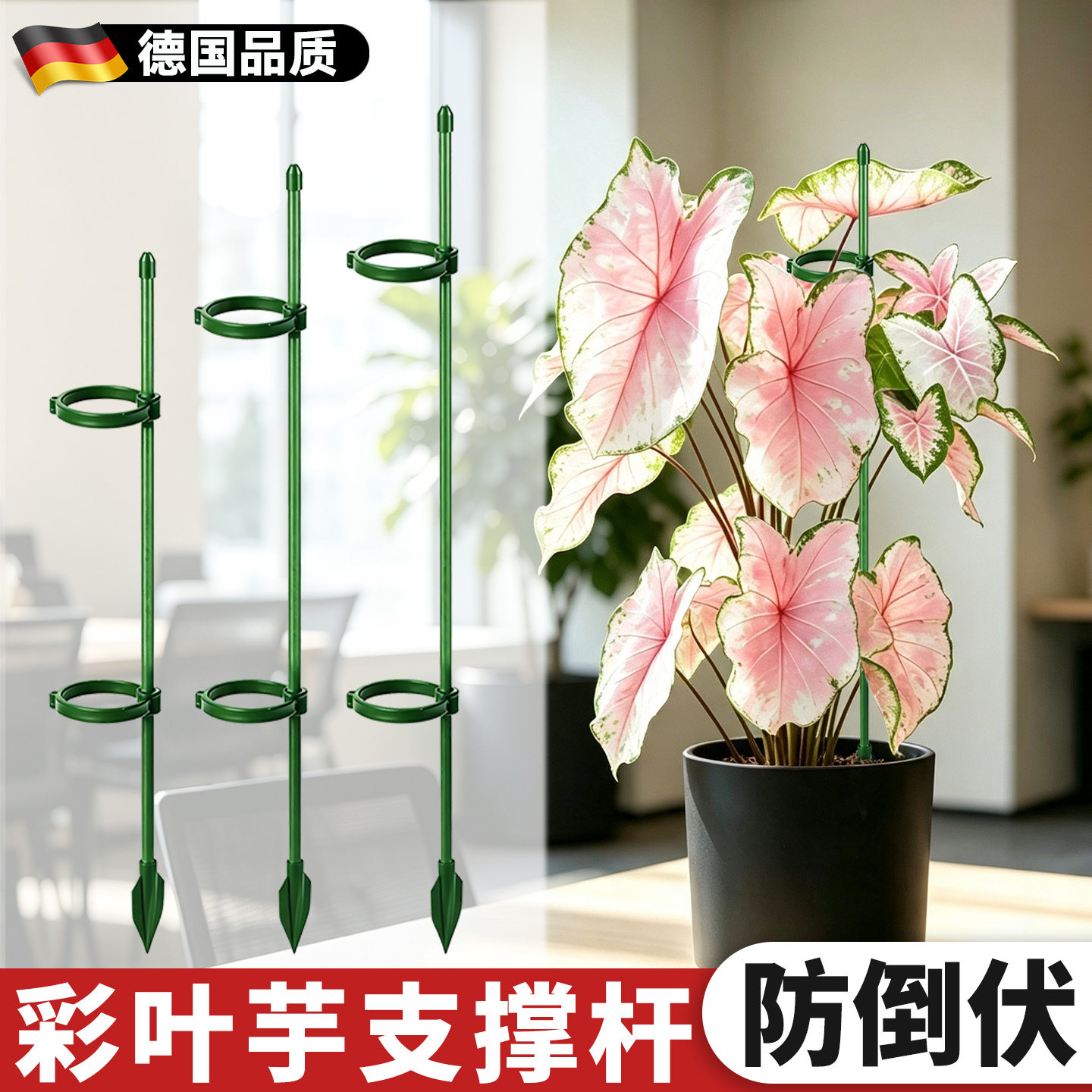 彩叶芋支撑杆植物专用支撑架子图片