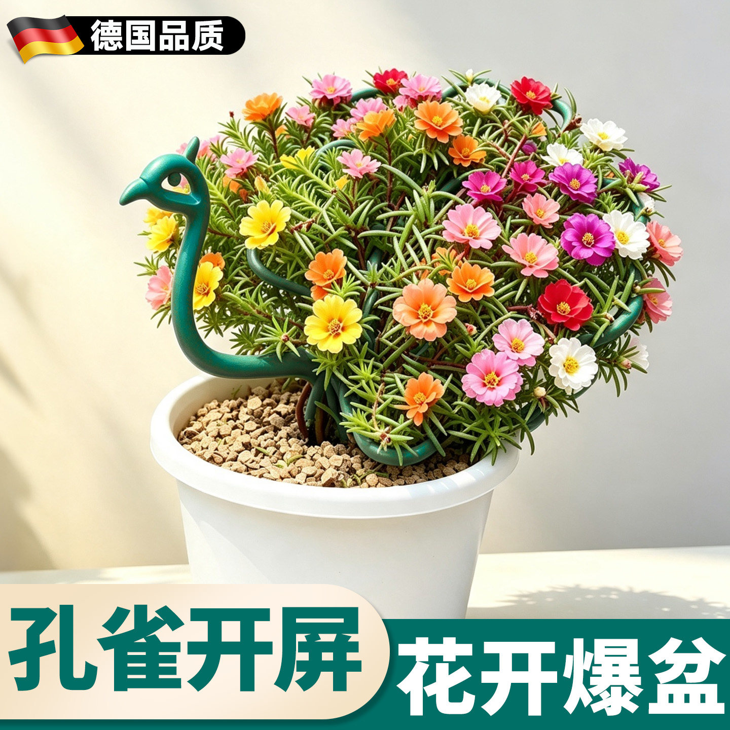 孔雀造型花架爬藤架太阳花架图片