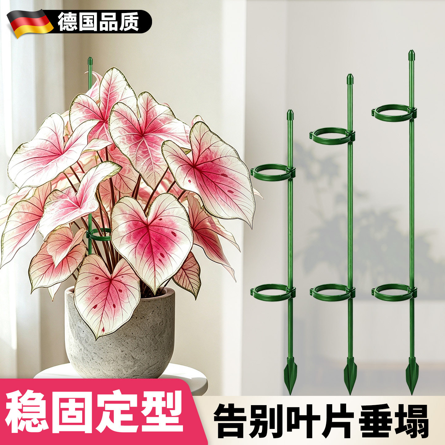 彩叶芋支撑杆植物专用支撑架子图片