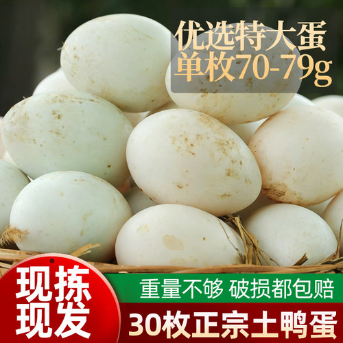 鲜生鸭蛋 正宗鄱阳湖散养鸭蛋 特大蛋 优选大个土鸭蛋麻鸭70-79g