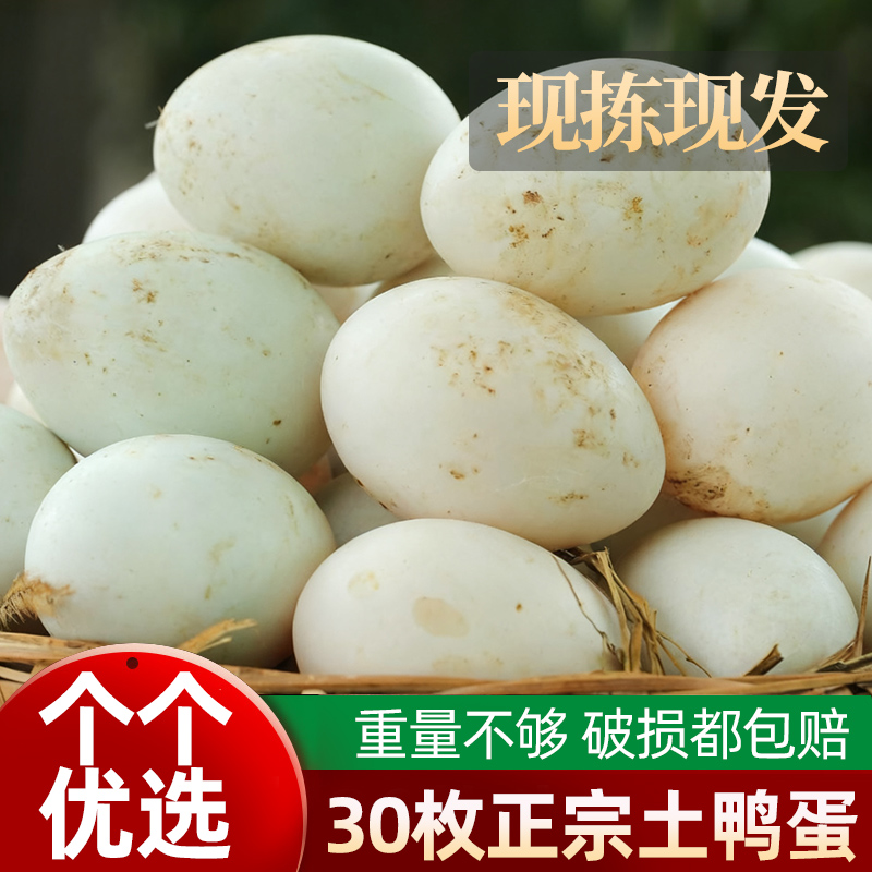 鄱阳湖散养鸭蛋新鲜江西农家散养生鸭蛋当天现拣优先50-59g*30枚