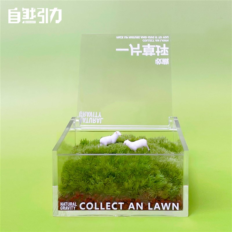 自然引力-一片草坪 苔藓微景观桌面懒人绿植盒子简单好养趣味植物