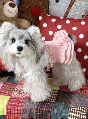 春夏款蕾丝连衣裙宠物狗狗女小型犬泰迪比熊度假风服装吊带裙