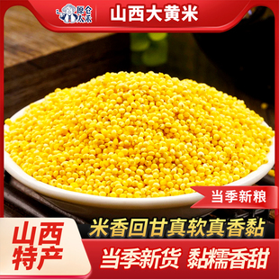 山西大黄米5斤 25年秋收新米糯小米农家特产黍米真空黏黄米饭粽子