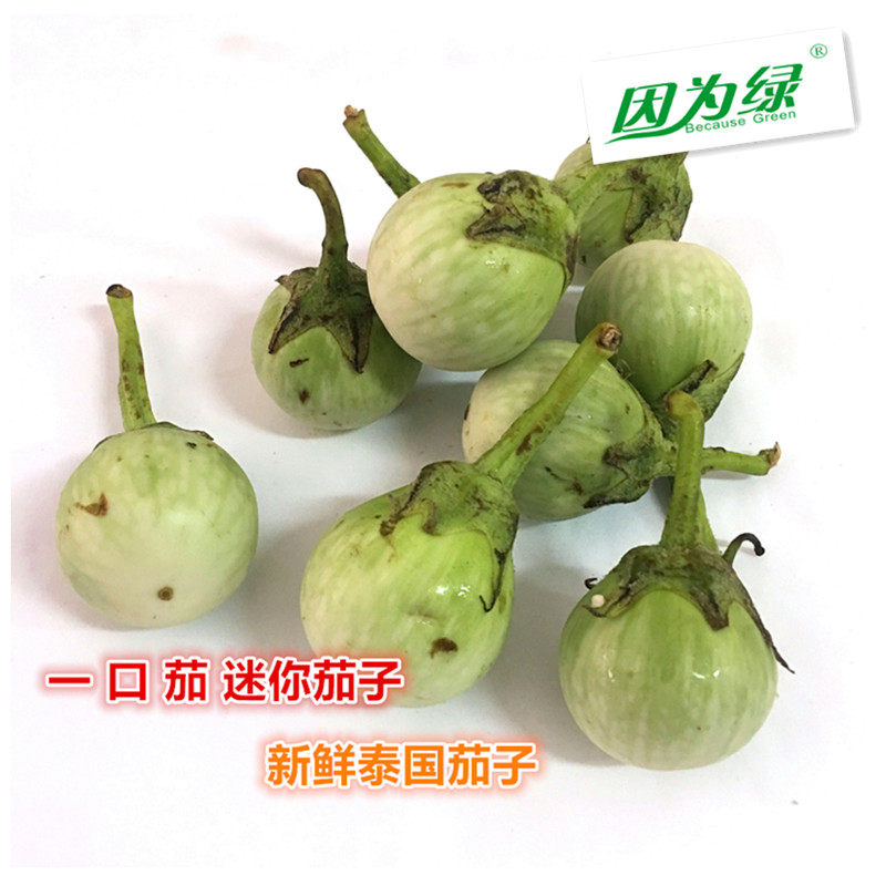 泰国小茄子 圆茄 一口茄 泰国圆茄子 500g 江浙沪皖5件包邮