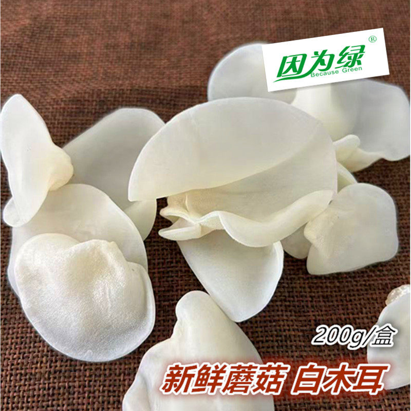 因为绿食用菌菇200g火锅食材 新鲜白木耳酒店特菜