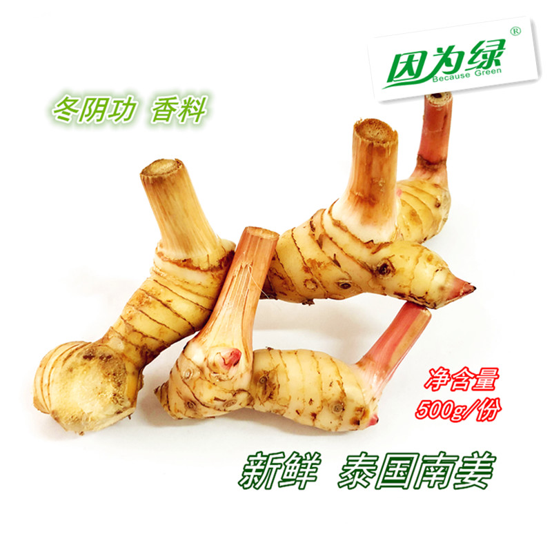 新鲜香料 泰国南姜 高良姜 嫩姜 冬阴功汤料500g 江浙沪皖5件包邮