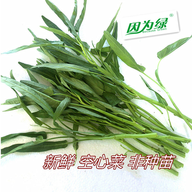 新鲜蔬菜 空心菜 通心菜 非种苗 泰国菜 虾酱空心菜 多种规格可选