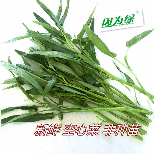因为绿现采现发新鲜蔬菜