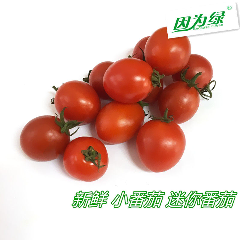 新鲜番茄 小番茄 迷你番茄 蔬菜水果 450g/盒 江浙沪皖5盒包邮,水产肉类/新鲜蔬果/熟食,番茄,淘宝优惠券,粉丝福利购,淘宝优惠卷