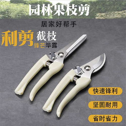 不锈钢修枝剪果树剪园林盆栽花艺朵树枝剪刀水果花卉刀具工具剪子