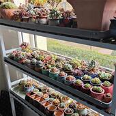 加厚花架托盘花盆长方形托盘带排水