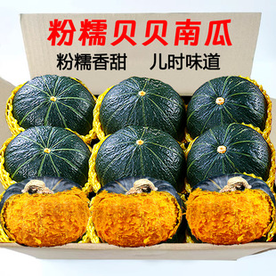 贝贝南瓜板栗味贝贝小南瓜正品栗子面老瓜宝宝辅食新鲜包邮到家