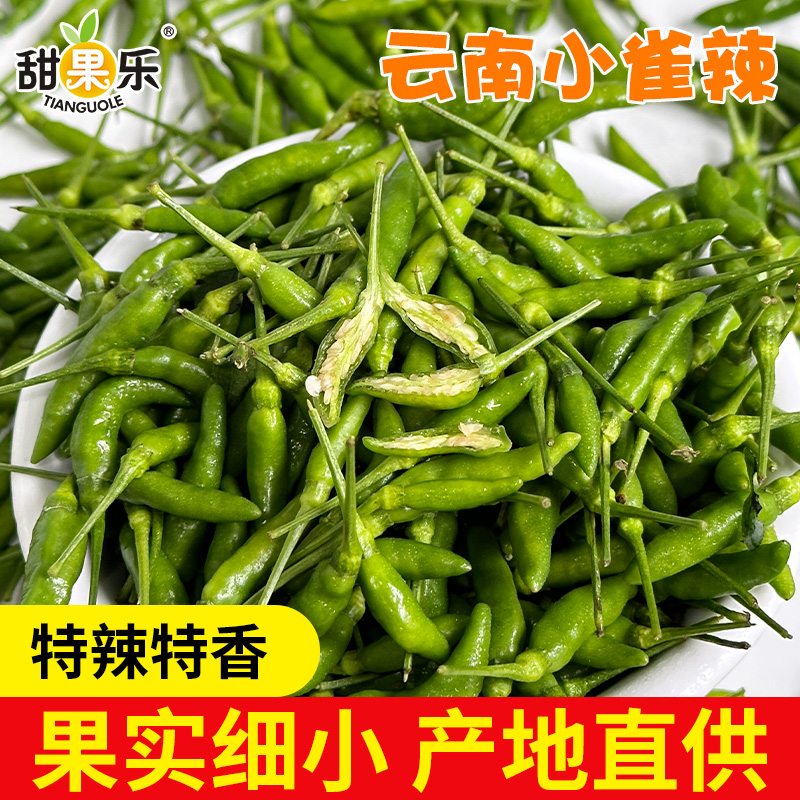 云南小雀辣椒新鲜现摘现发