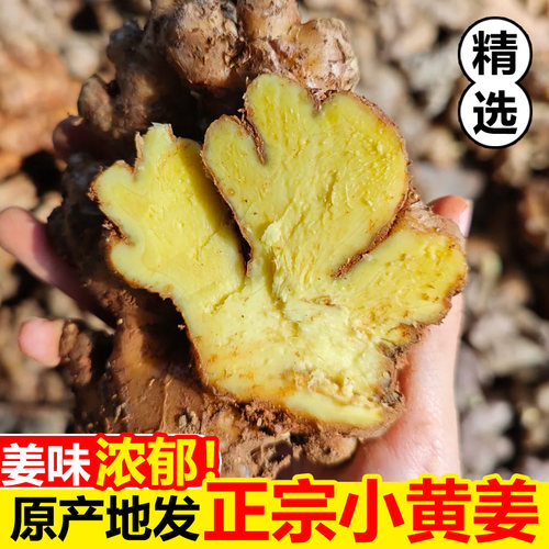 正宗贵州小黄姜3斤，姜味浓郁！