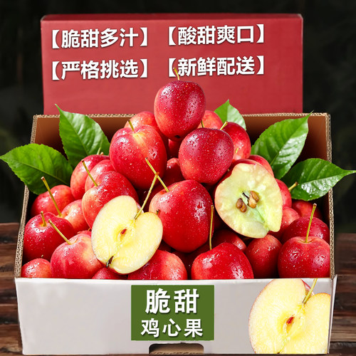 正宗东北鸡心果精选中大果10颗装